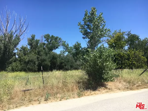 Santa Clarita, CA 91387,0 ALAMO CANYON