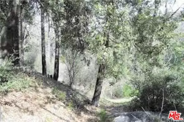N, Cedarpines Park, CA 92322