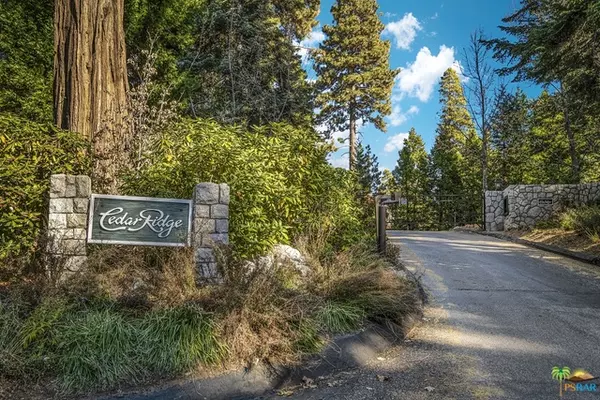 Lake Arrowhead, CA 92352,29214 Pigeon Hawk