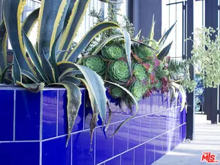 Venice, CA 90291,428 N LINCOLN