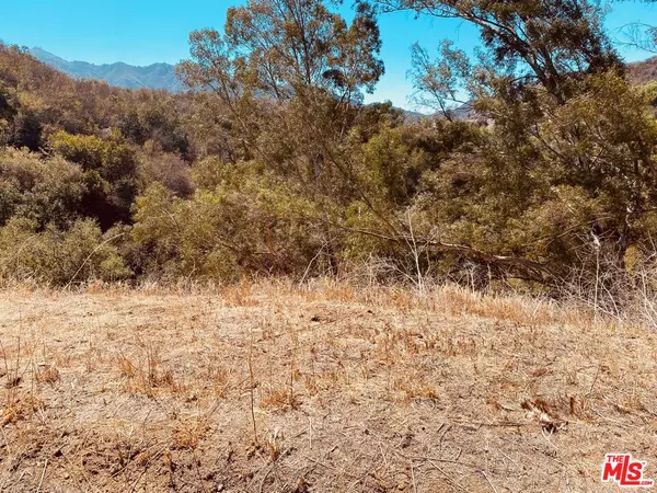 Topanga, CA 90290,28 Topanga Skyline Drive