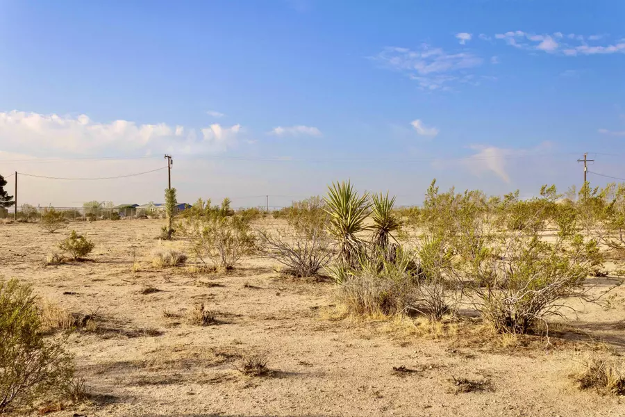 56720 Amargon RD, Landers, CA 92285