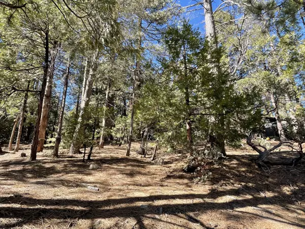 0 Cedar Glen Drive DR, Idyllwild, CA 92549