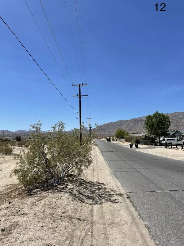 Twenty-nine Palms, CA 92277,0 Gorgonio