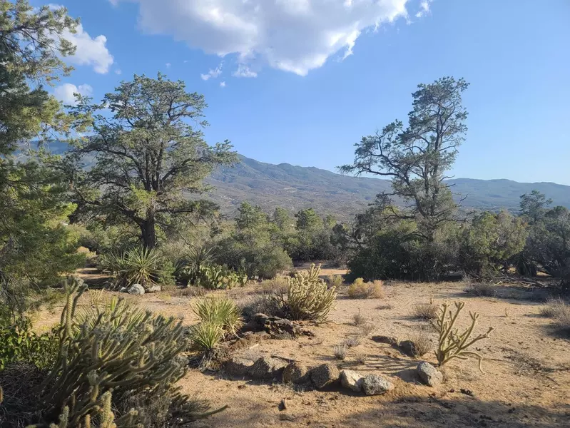 68420 Riesling WAY, Mountain Center, CA 92561