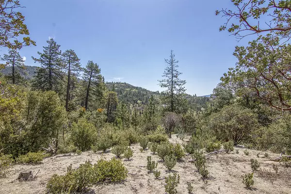 53720 West Ridge RD, Idyllwild, CA 92549