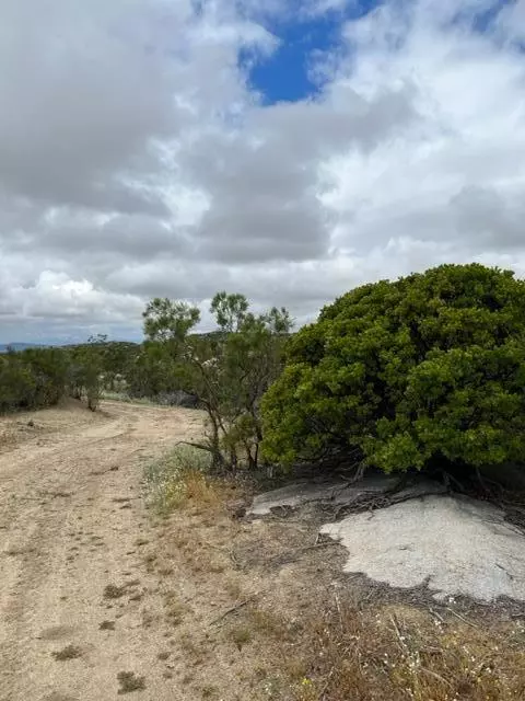 Aguanga, CA 92536,0 Sweepstakes LN