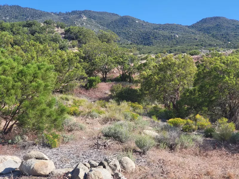 0 Redwood Drive 636-282-016, Mountain Center, CA 92561