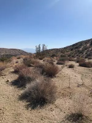 Morongo Valley, CA 92256,10840 Pinon DR