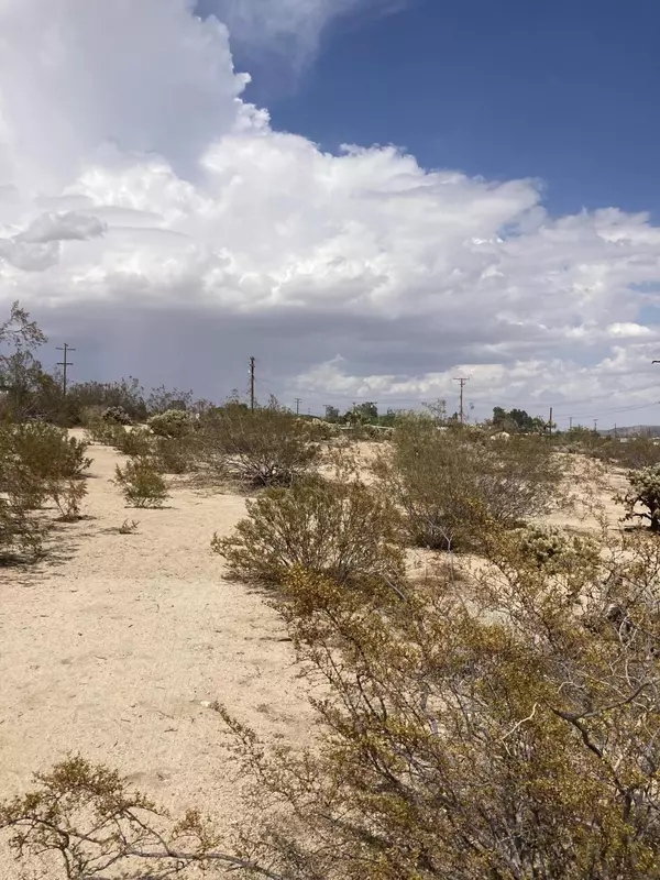 Morongo Valley, CA 92256,0 Big Morongo CYN