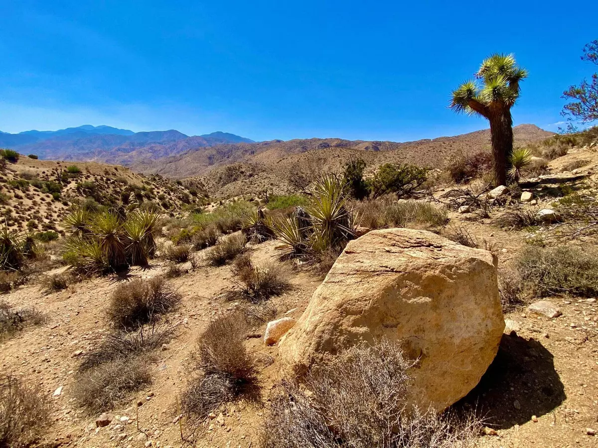 Morongo Valley, CA 92256,120 Benmar TRL