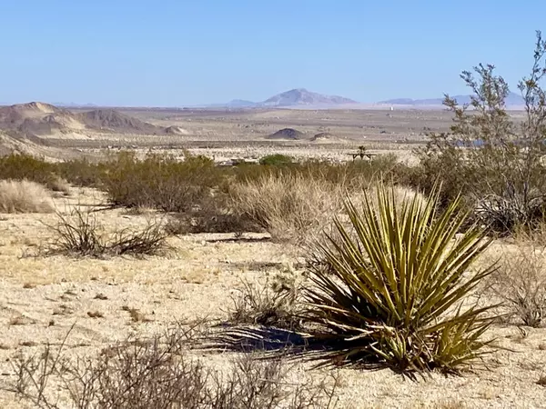 Twenty-nine Palms, CA 92277,330 Twentynine Palms HWY