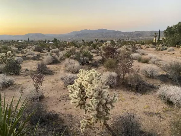 Joshua Tree, CA 92252,0 Agave RD