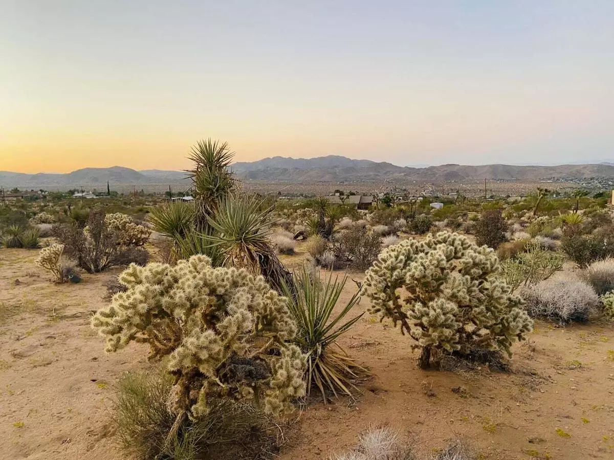 Joshua Tree, CA 92252,0 Agave RD