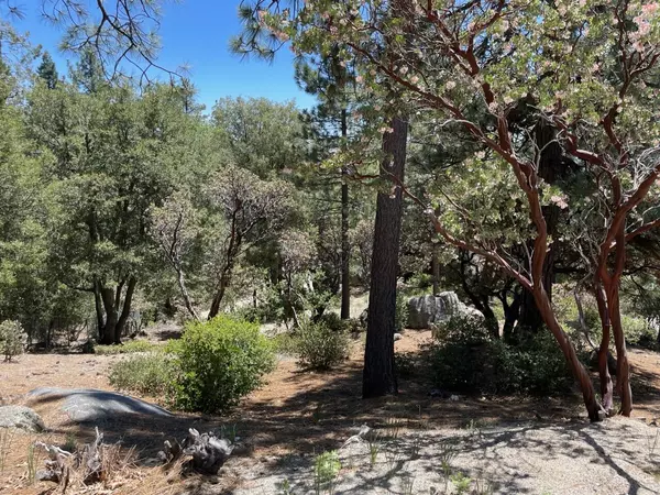 Idyllwild, CA 92549,0 Northridge DR