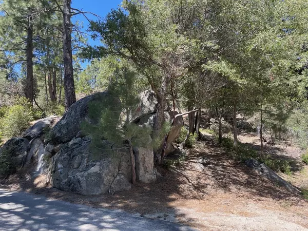 Idyllwild, CA 92549,0 Northridge DR