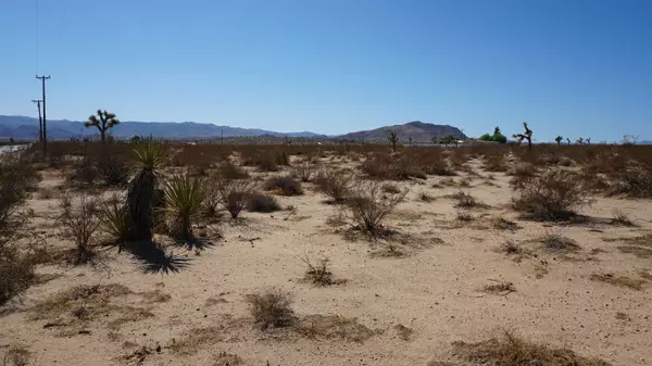 Joshua Tree, CA 92252,2772 Border AVE