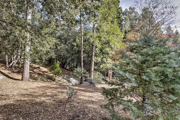 Idyllwild, CA 92549,0 Pine Crest AVE