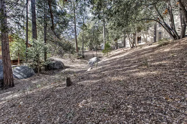 Idyllwild, CA 92549,0 Pine Crest AVE