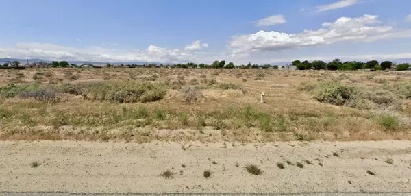 Antelope Acres, CA 93536,0 90th ST