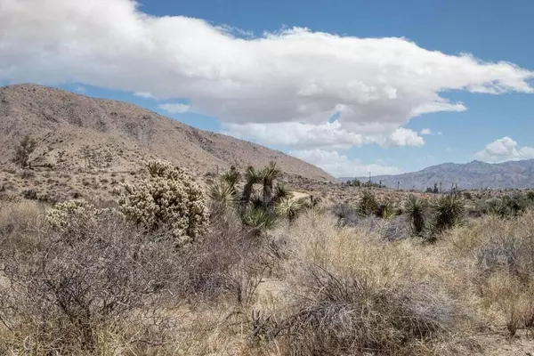 Morongo Valley, CA 92256,116 Big Morongo CYN