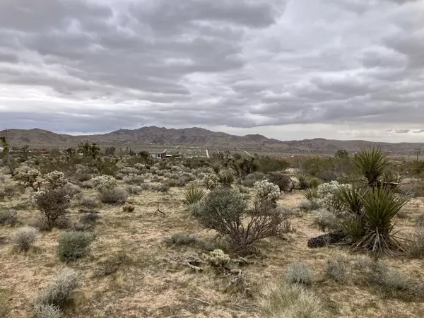 Joshua Tree, CA 92252,60926 Alta Vista DR