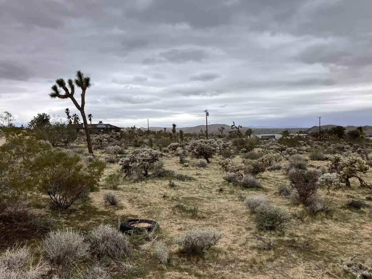 Joshua Tree, CA 92252,60926 Alta Vista DR