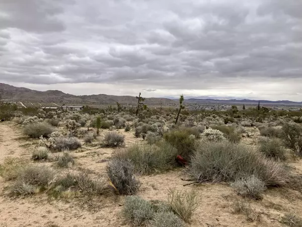 Joshua Tree, CA 92252,60926 Alta Vista DR