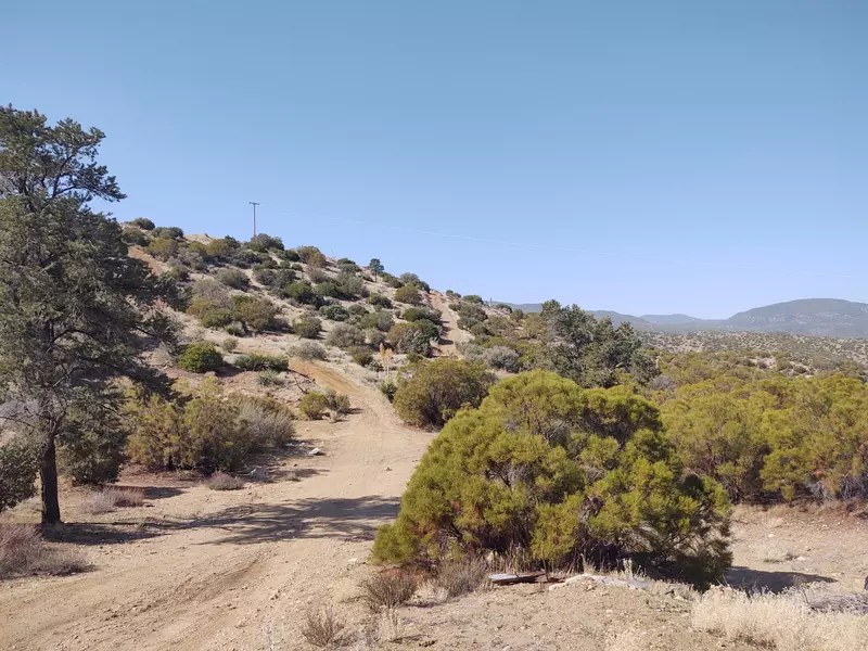 0 Palm Canyon DR, Mountain Center, CA 92561