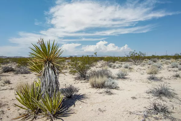 Joshua Tree, CA 92252,102 Moonlight Mesa RD