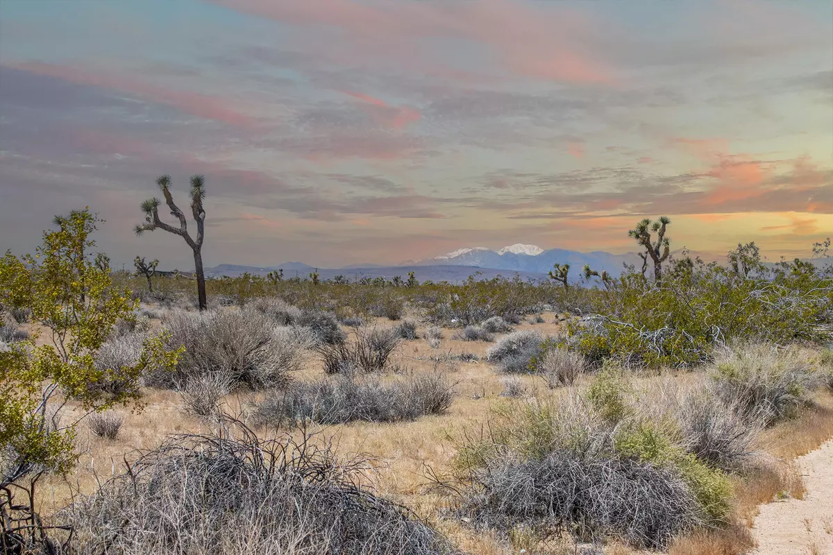 Joshua Tree, CA 92252,60417 Belfair DR