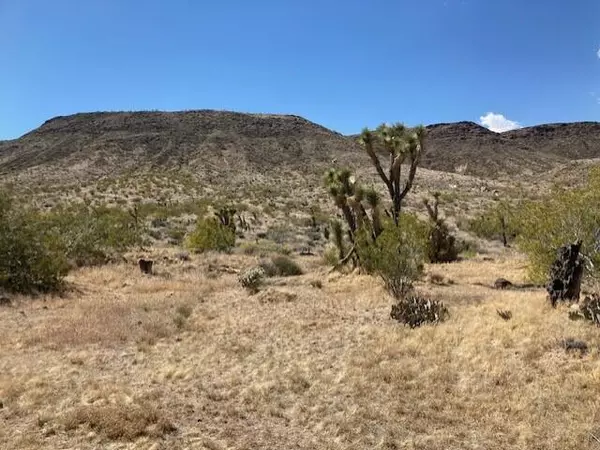 Yucca Valley, CA 92284,55346 Pipes Canyon RD