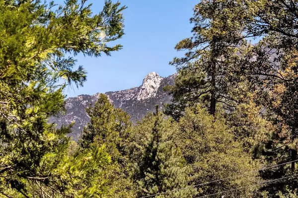 Idyllwild, CA 92549,54053 Marian View DR