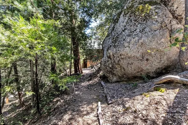 Idyllwild, CA 92549,54053 Marian View DR