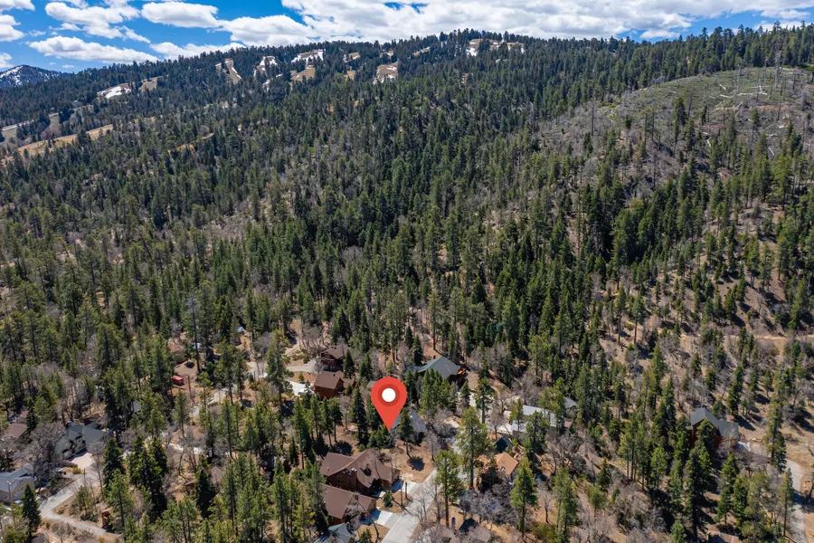 871 Conklin RD, Big Bear Lake, CA 92315