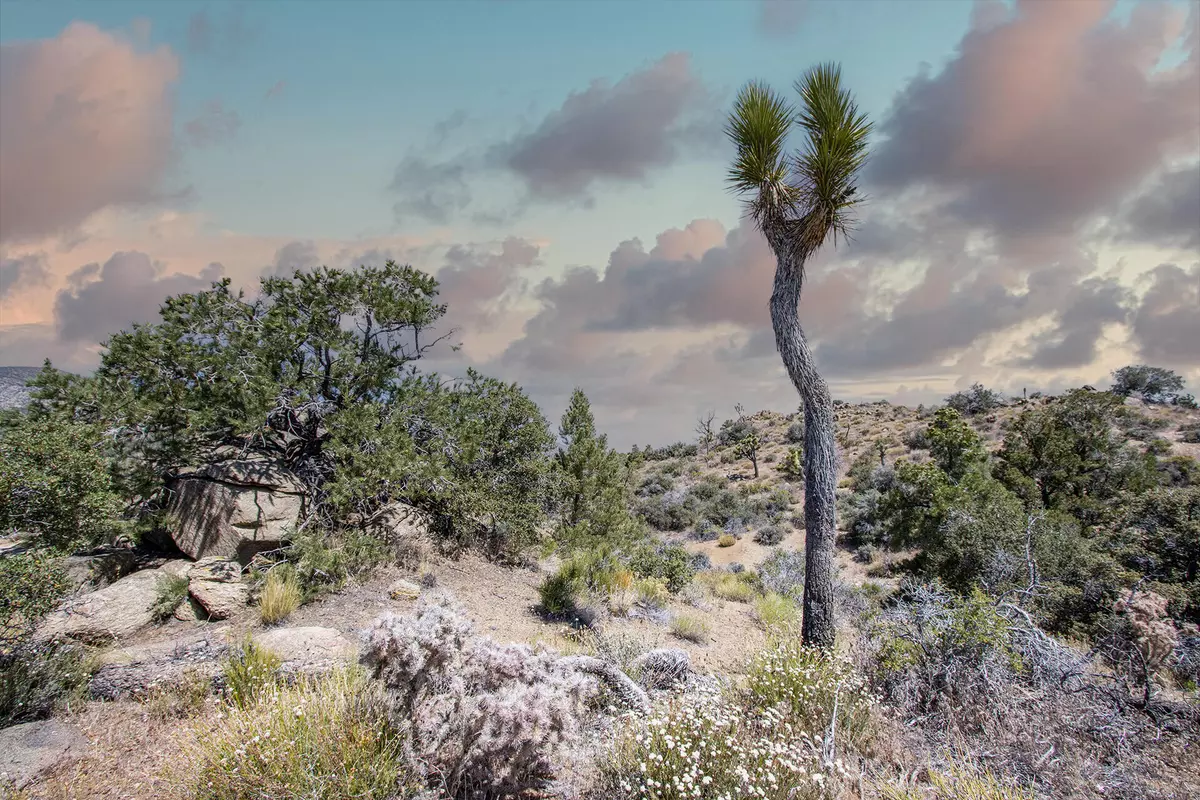 Pioneertown, CA 92268,137 Monte VISTA