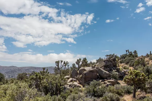 Pioneertown, CA 92268,137 Monte VISTA