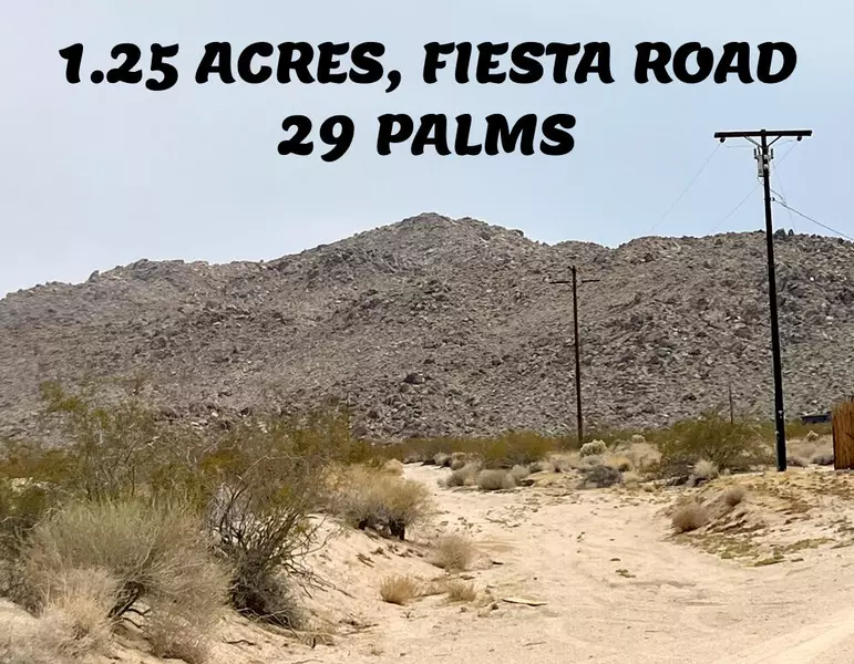 0 Fiesta RD, Twenty-nine Palms, CA 92277