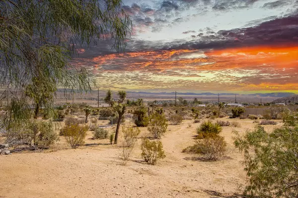 Joshua Tree, CA 92252,7417 Sunny VISTA