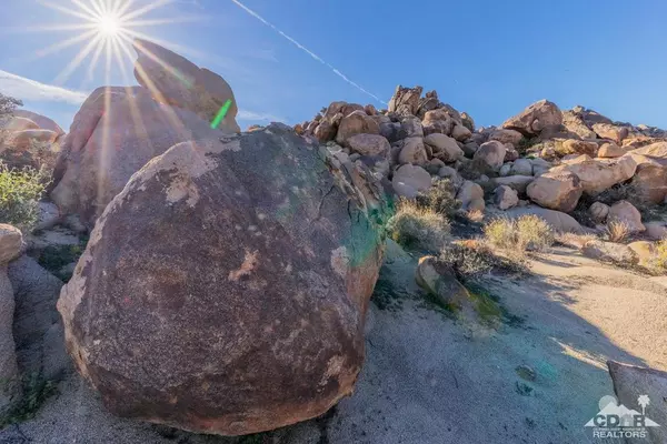 Joshua Tree, CA 92252,0 Twentynine Palms HWY