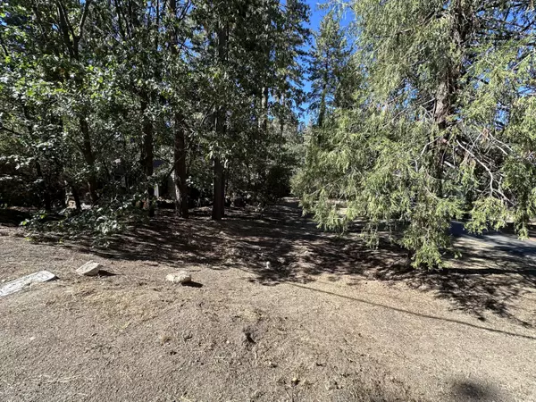 Idyllwild, CA 92549,0 Country Club DR