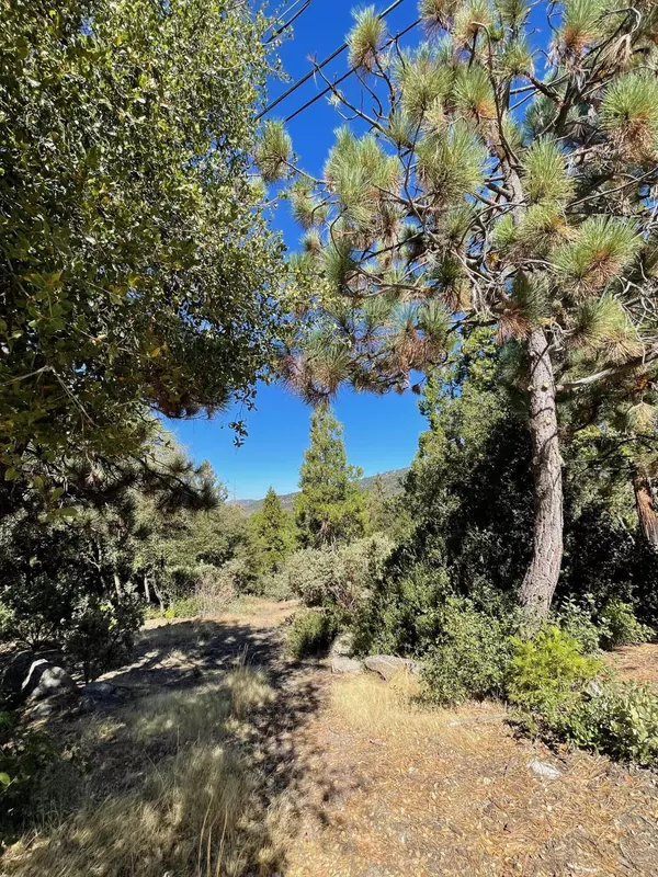 Idyllwild, CA 92549,0 Double View DR