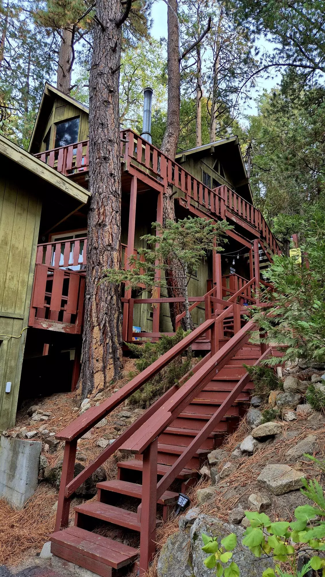 Idyllwild, CA 92549,25390 Shadow Oaks