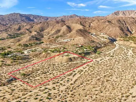 Palm Desert, CA 92260,0 Cat CYN