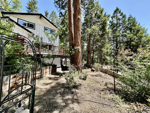 Idyllwild, CA 92549,53200 Forest Lake DR