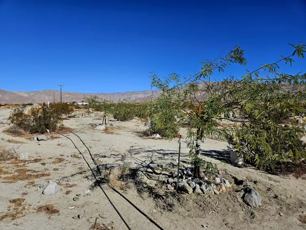 Desert Hot Springs, CA 92241,23750 Larsen LN