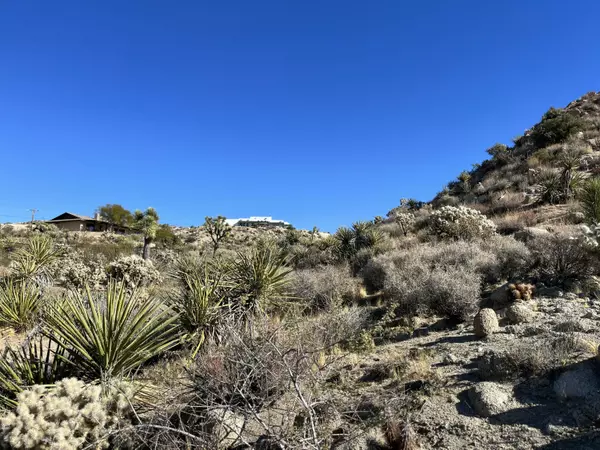 Yucca Valley, CA 92284,0 Farrelo RD