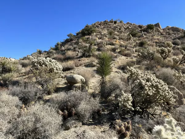 Yucca Valley, CA 92284,0 Farrelo RD