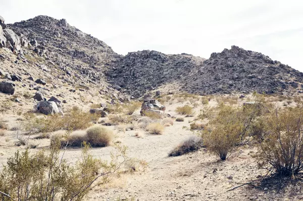 Joshua Tree, CA 92252,5156 Benji AVE