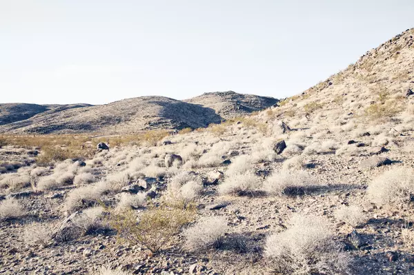 Joshua Tree, CA 92252,5156 Benji AVE